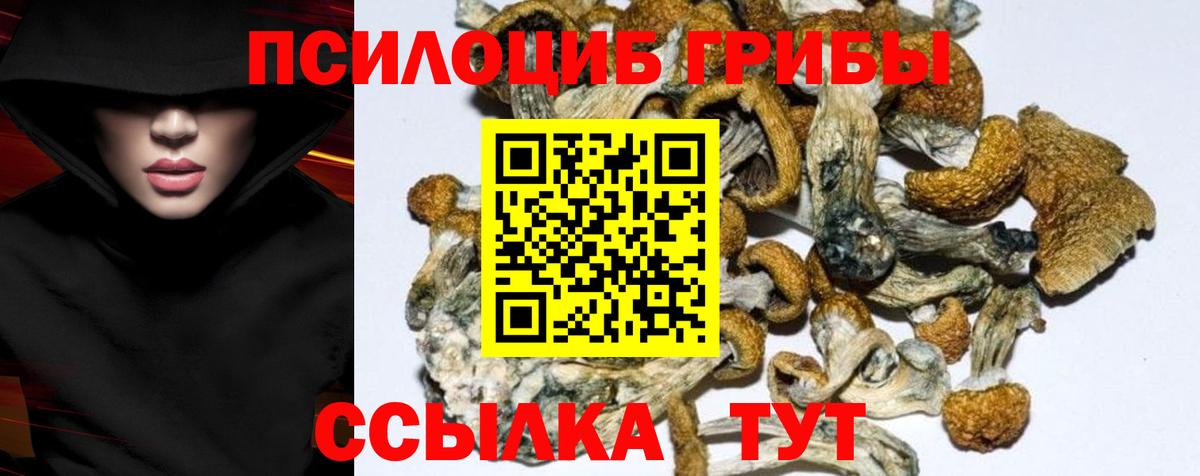 Галлюциногенные грибы GOLDEN TEACHER Фурманов